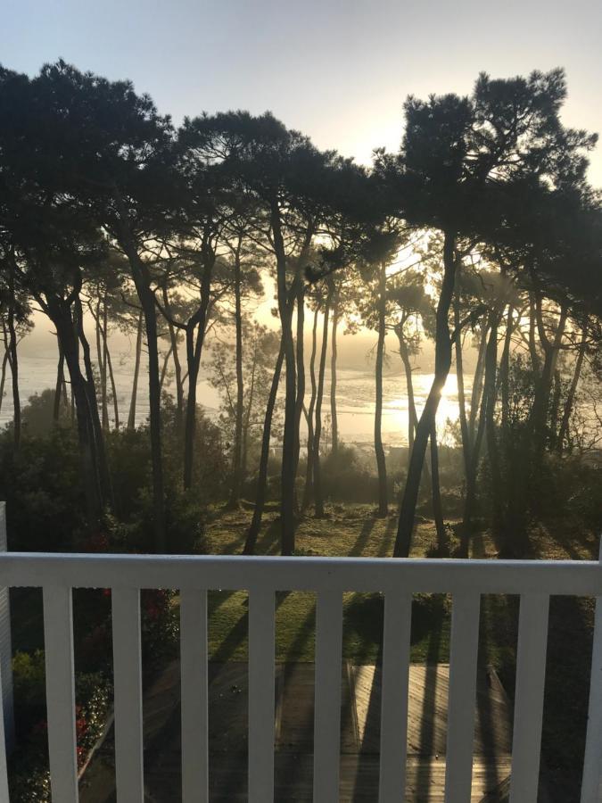 La Villa Bel Ange Hotel Saint-Philibert  Buitenkant foto